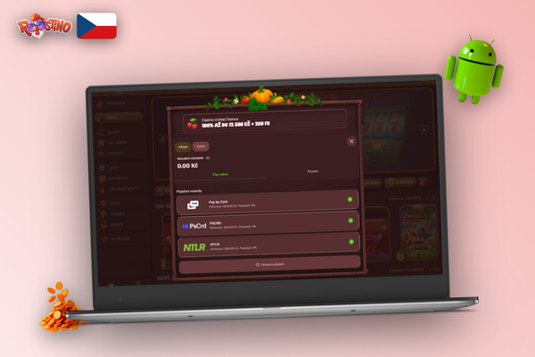 Ověření vlastnictví platební metody dokladem totožnosti v Roostino Kasino